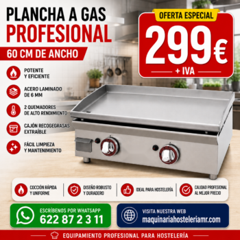 Plancha a gas profesional 60 cm | Placa lisa de acero laminado de 6 mm