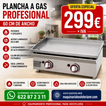 Plancha a gas profesional 60 cm | Placa lisa de acero laminado de 6 mm | Elija acabado: laminado, rectificado o cromo duro