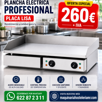 Plancha eléctrica profesional | Placa lisa de acero rectificado